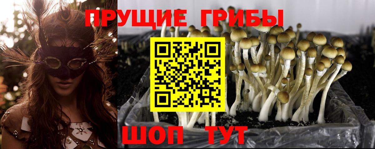 Галлюциногенные грибы Psilocybe  Псилоцибиновые грибы Cubensis  где продают   Вход с VPN  Самара 